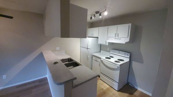 $1,100 / 1br - 661ft2 - Tastefully Updated, Spacious, 1 Bedroom Home in a Quiet Community (Tucson)63674775449219120