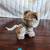 Fur Real Cat with Walking Leash 5 thumbnail