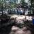 LEAF BLOWING, JUNK HAULING, BUSH TRIMMING, PAINTING, HOME UPDATES 5 thumbnail