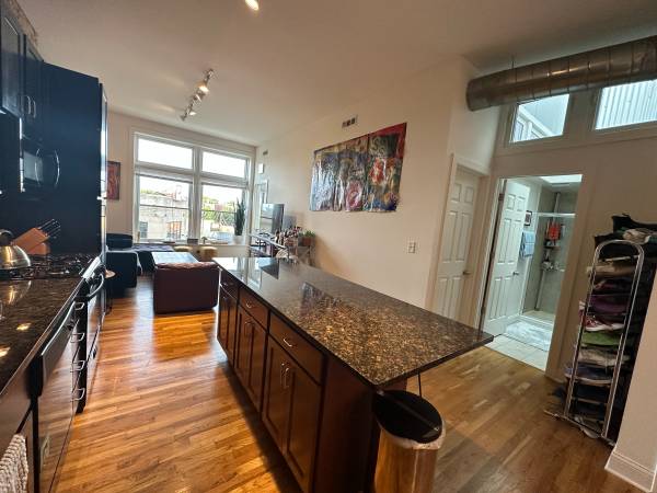 Lofty Bright - 2 BR, 2 Bath + Office -  Blue Line 3 min Garage  Avail. 1