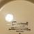 vintage Franciscan Desert Rose Dinnerware 12 thumbnail