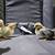 Serama bantam chickens 4 months 6 thumbnail