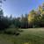 Gorgeous and Secluded RV Parking spot with hookups and a 2 Car Garage 3 thumbnail