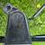 MTD Zero-Turn Self-Propelled Variable-Speed Lawn Mower NEW MOTOR 8 thumbnail