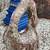 Hardscaping & Landscaping, Benches, Stones, Rocks,ON SALE 4 thumbnail