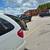 2004 Dodge Town & Country-Handicapped Van 21 thumbnail