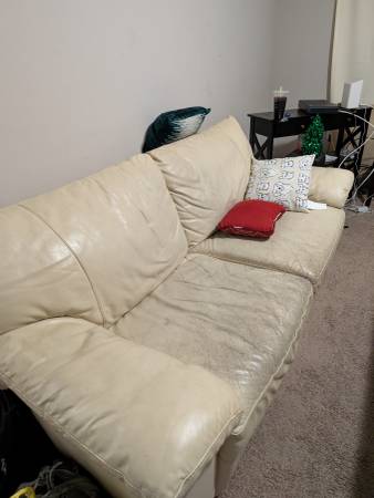 Leather couch 1