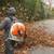 NORTH SHORE FALL LEAF CLEAN OUTS 1 thumbnail