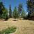 5 BDRM RANCHER WITH 2 SELF CONTAINED SUITES 10 thumbnail