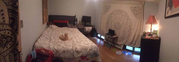 $700 / 3br - Bushwick apartment at Hart & Knickerbocker (Bushwick)63945497804291120