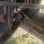 2002 sportsman Polaris 700 17 thumbnail