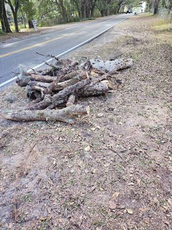 Oak and pine firewood 1