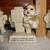 Set Of 5 Vintage 1979 Enesco Gas Rationing Figurines 5 thumbnail