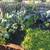 Spacious suite in house with character, private entrance, 2 min to Cal 8 thumbnail