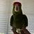 Red headed Amazon 1 thumbnail