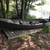 Grumman sportboat, motor, and trailer 1 thumbnail