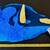 DISNEY STORE FINDING DORY PLUSH W/ TAG - 16" 6 thumbnail
