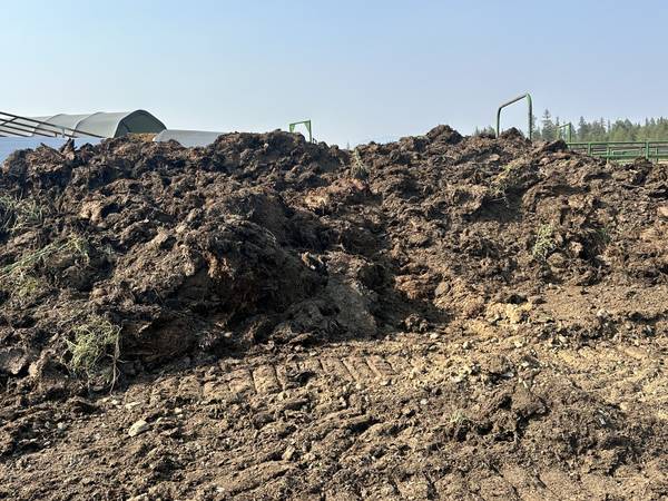 Manure seasoned 1