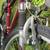 Aluminum lightweight Lady, girls, teen bike 5 thumbnail