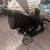 Graco stroller blue dark with sun protection 1 thumbnail