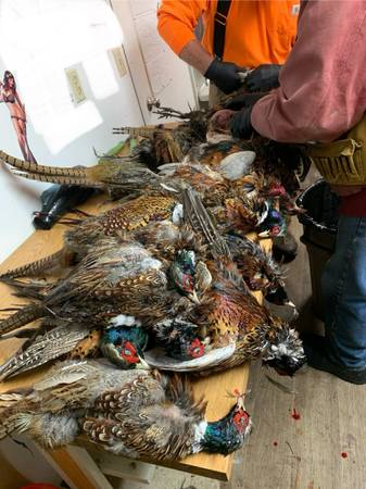 1-5 bedroom furnished house Froid MT short term hunter hunting Froid 1