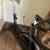 Exercise Bike - Johnny G Spinner by Schwinn 4 thumbnail
