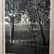 Robert Kipness Lithograph Important Artist Signed Print 5 thumbnail