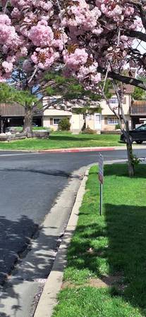 $700 / 1br - 1400ft2 - Room for rent in spacious condo!! (West Valley City)63969198409730121