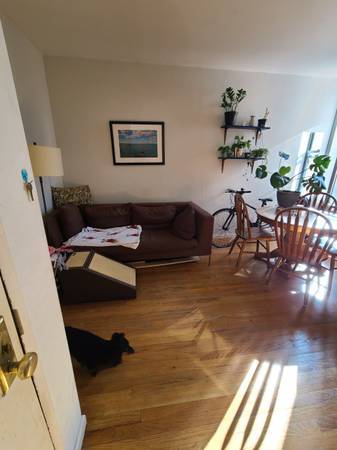 $750 / 3br - Cozy room in Park Slope – Dog Friendly! (Park Slope)63689699069441121