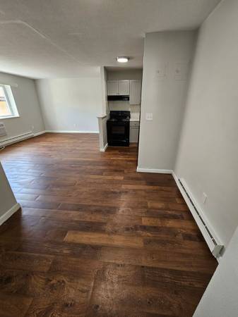 $1,900 / 1br - Mattapan 1 Bed/1 Bath Apartment | Norfolk St (Mattapan)63996691981699124