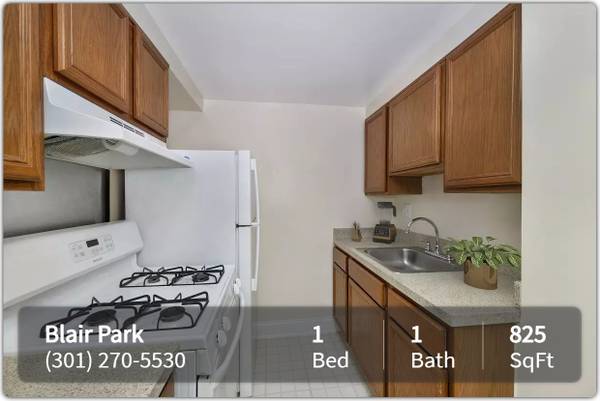 $1,399 / 1br - 825ft2 - Just the place you're looking for! Come and see! (Silver Spring - Right off of Georgia Avenue)63822292419201121