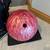12 Pound Bowling Ball and Carry Bag 1 thumbnail