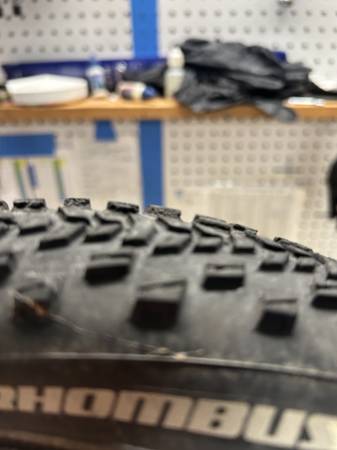 Specialized Rhombus Pro 2Bliss Ready 700x42 Tires (2) 1