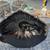 Muncie M21 4spd transmission 1970 Chevelle 2 thumbnail