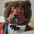 Robert Raikes Circus Bear Ringmaster Vintage 24". No box 3 thumbnail