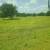 mulching,shredding,skidsteer,spot spraying,mowing, ranch improvements. 11 thumbnail