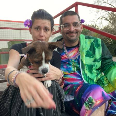 Desperately seeking Housing for 3 1