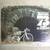 1970s and ‘80s Bicycle Catalogs updated 6/13 5 thumbnail