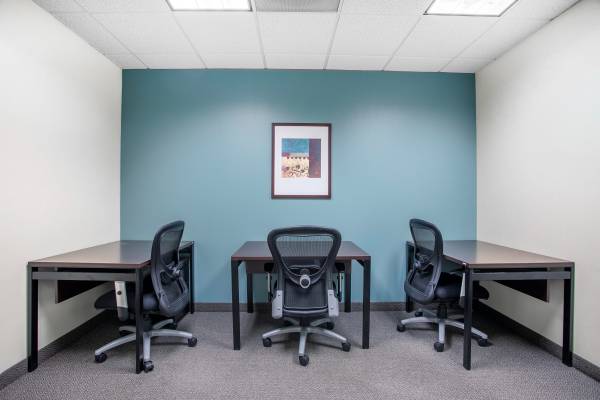 Turnkey Large Office Space - Move in Ready 1