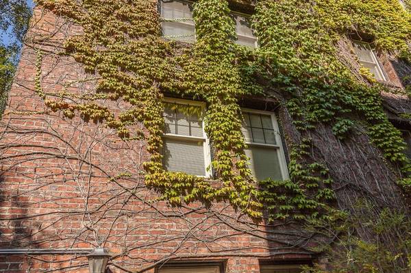 $2,275 / 1br - 1070ft2 - High Speed Internet Access, Laundry Facilities, Controlled Access (Capitol Hill)63934418617475124