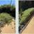 Hedge Trimming, Weeding, Pruning? Call or Text Me! 23 thumbnail