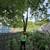 Professional Tree Removal, Tree Trimming & Landscaping Services 15 thumbnail