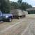Bermuda hay 1 thumbnail