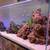 ADA aquarium 45P 1 thumbnail