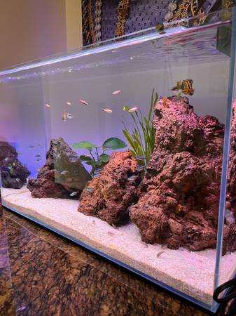 ADA aquarium 45P 1