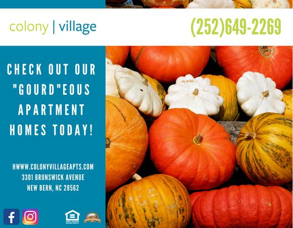 $1,105 / 2br - 850ft2 - Fall Discount Specials @ Colony Village (New Bern)63897185849090120