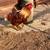 Free Range Rooster 3 thumbnail