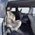 2015 Toyota Sienna XLE 7 Passenger 18 thumbnail