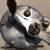 Vintage Pflueger Fishing Reels 5 thumbnail