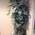 silk trees, boxes of silk flowers, silk plants in baskets, dry flowers 9 thumbnail